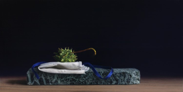 Altar <p>Still life with sweet gum boll on white cloth and stone with blue ribbon</p><p>Egg tempera and oil paint on panel</p><p>10,3 x 20,3 cm</p><p>(sold)</p>