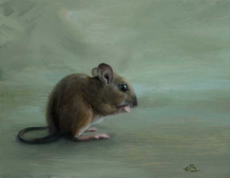 Wood mouse<p>Study of a wood mouse</p><p>Oil paint on panel</p><p>12,9 x 10 cm</p><p>(sold)</p>