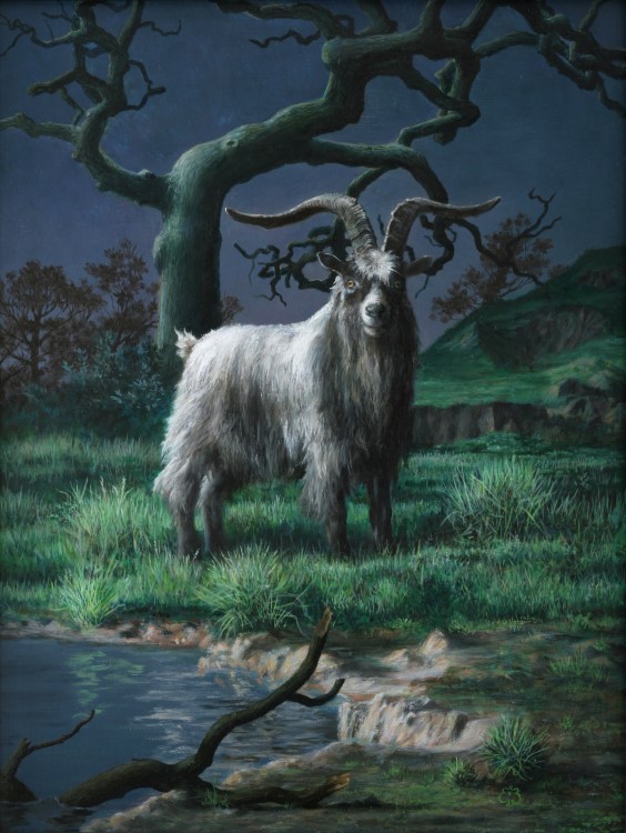 Pan<p>Long haired goat in landscape</p><p>Oil paint on canvas</p><p>18 x 24 cm</p><p></p>