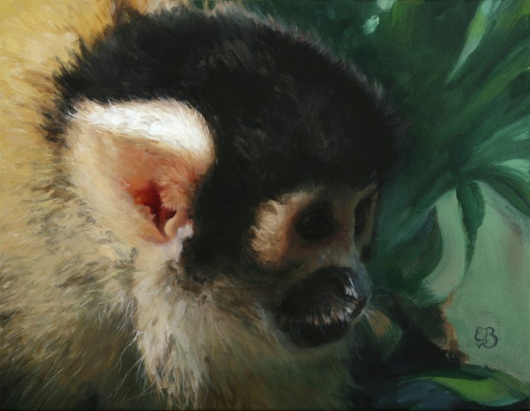 Dark Eyes<p>Portrait of a Bolivian squirrel monkey</p><p>Oil paint on panel</p><p>19,5 x 15 cm</p><p>(sold)</p>